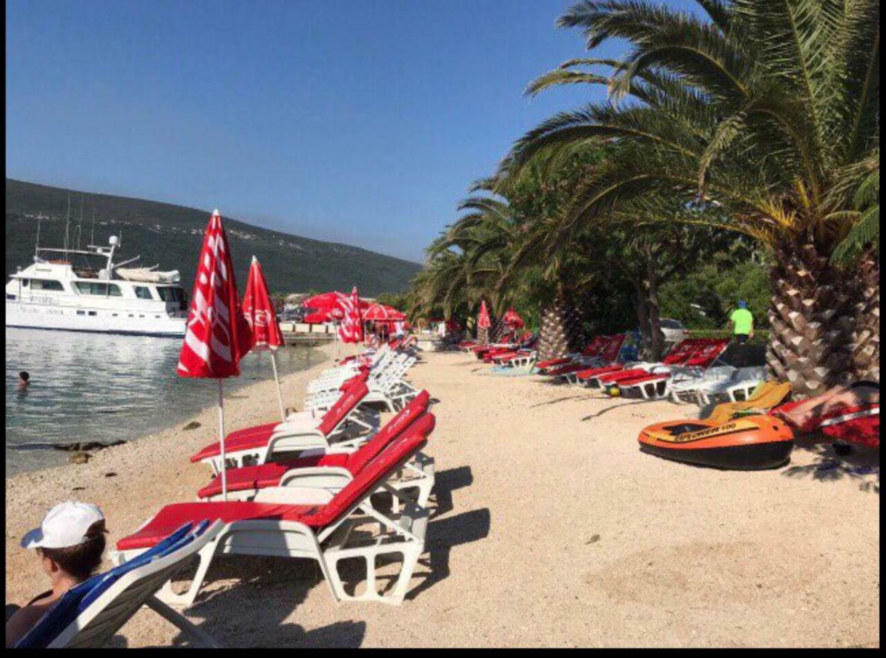 Apartments Acacia Hill Ðenovići Εξωτερικό φωτογραφία