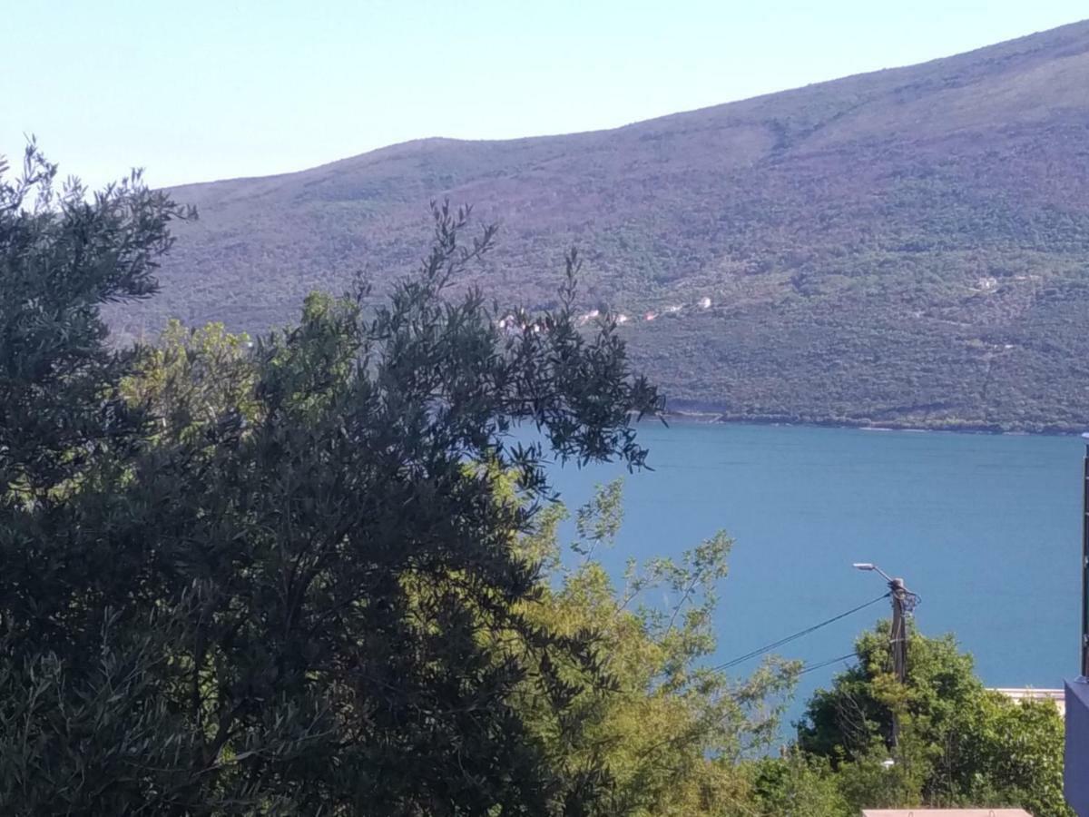 Apartments Acacia Hill Ðenovići Εξωτερικό φωτογραφία