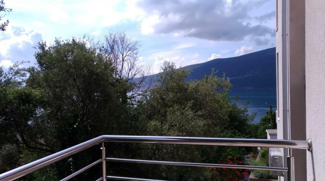 Apartments Acacia Hill Ðenovići Εξωτερικό φωτογραφία