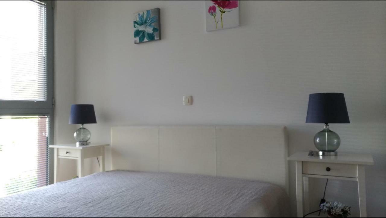 Apartments Acacia Hill Ðenovići Εξωτερικό φωτογραφία
