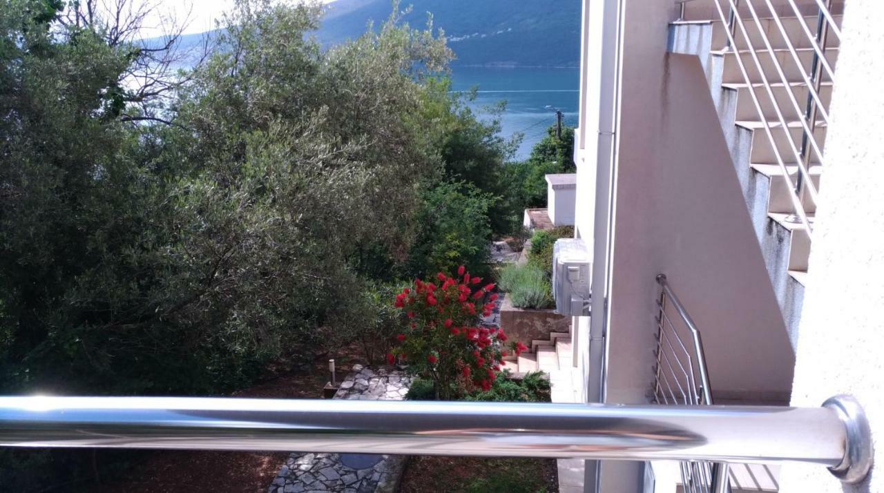 Apartments Acacia Hill Ðenovići Εξωτερικό φωτογραφία