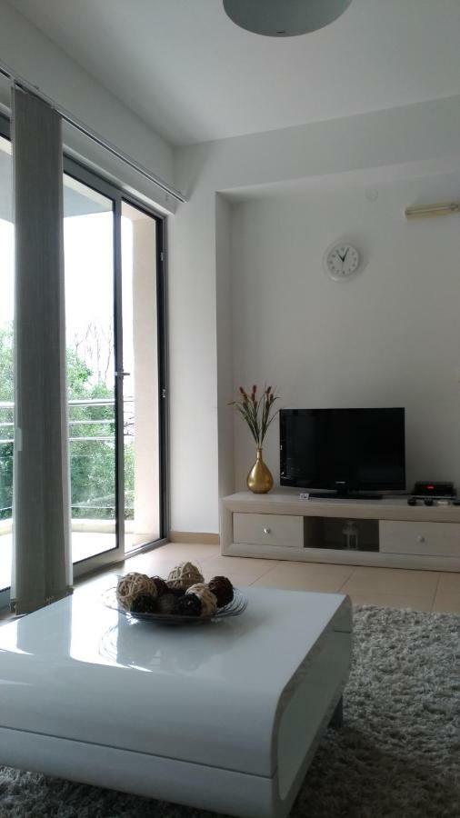 Apartments Acacia Hill Ðenovići Εξωτερικό φωτογραφία